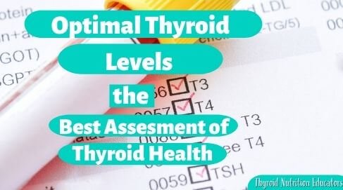 Test Tube on Thyroid List of Tests with words "Optimal Thyroid Levels the best assessment of thyroid health" | Thyroid Nutrition Educators