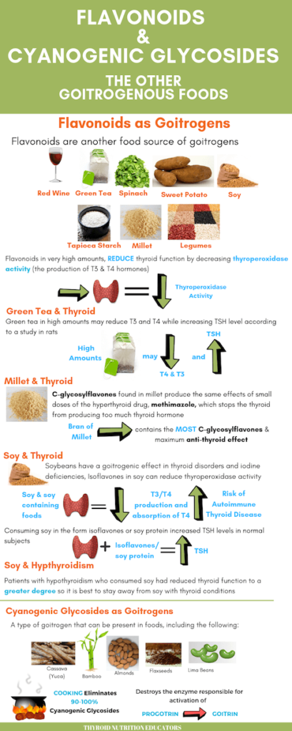 Infographic of Flavonoids and Cyanogenic Glycosides as Goitrogens | Thyroid Nutrition Educators