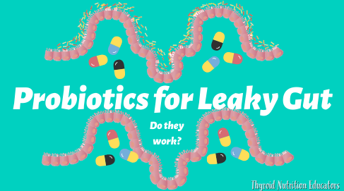 Probiotics for Leaky Gut: Do They Work | Thyroid Nutrition Educators