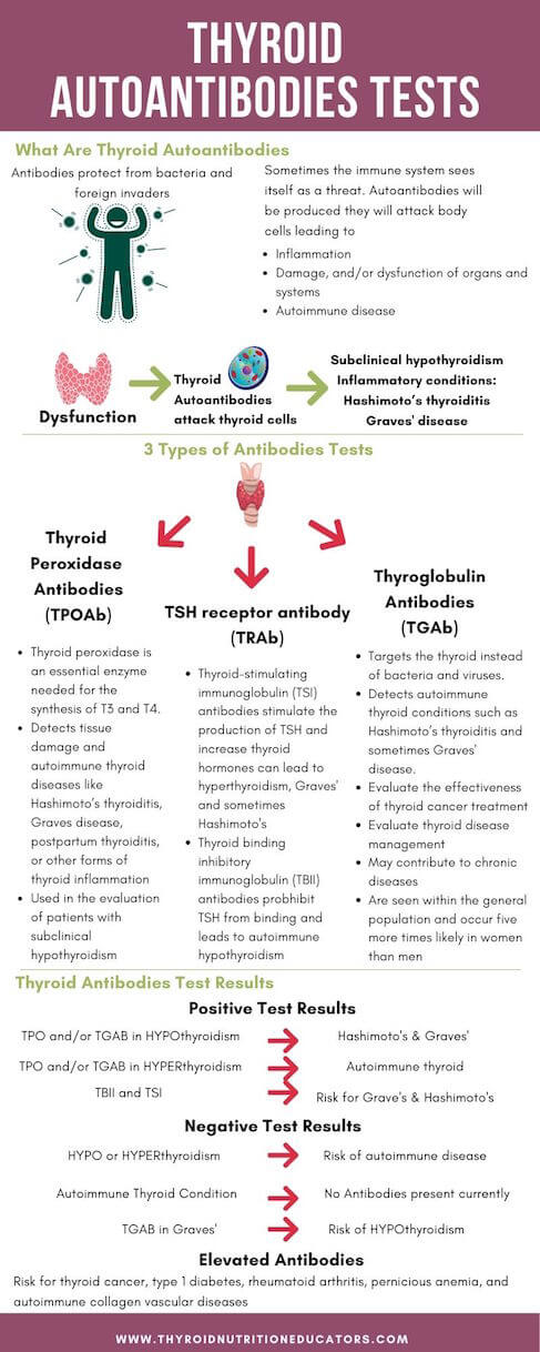 Thyroid Autoantibodies Tests Infographic | Optimal Thyroid Levels | Thyroid Nutrition Educators